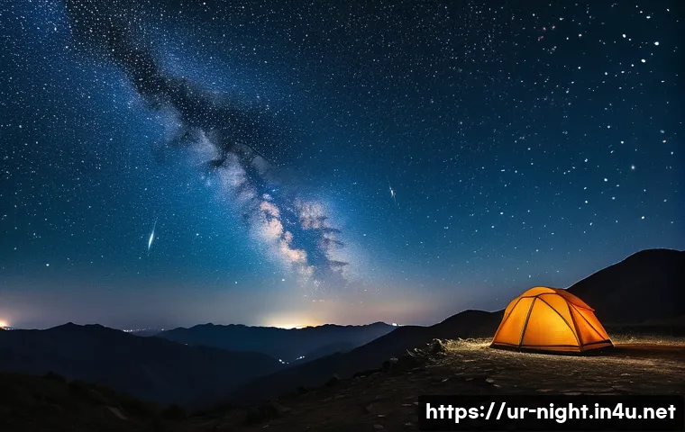 밤하늘 별자리 촬영 - A stunning night sky scene over a serene rural landscape in Pakistan, captured with a DSLR camera on...